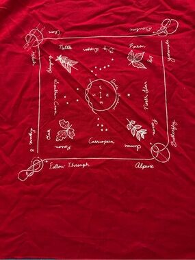 ❤️ Vintage Red Bandana Handkerchief Nature Compass Constellation Print